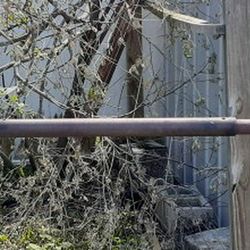 Bar With Weights And Curl Bar