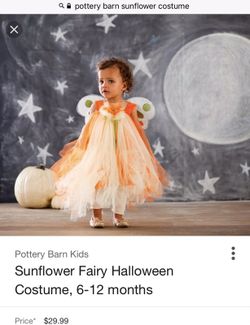 Pottery barn sunflower costume