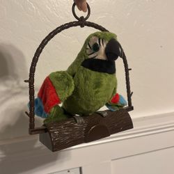 Parrot Toy 