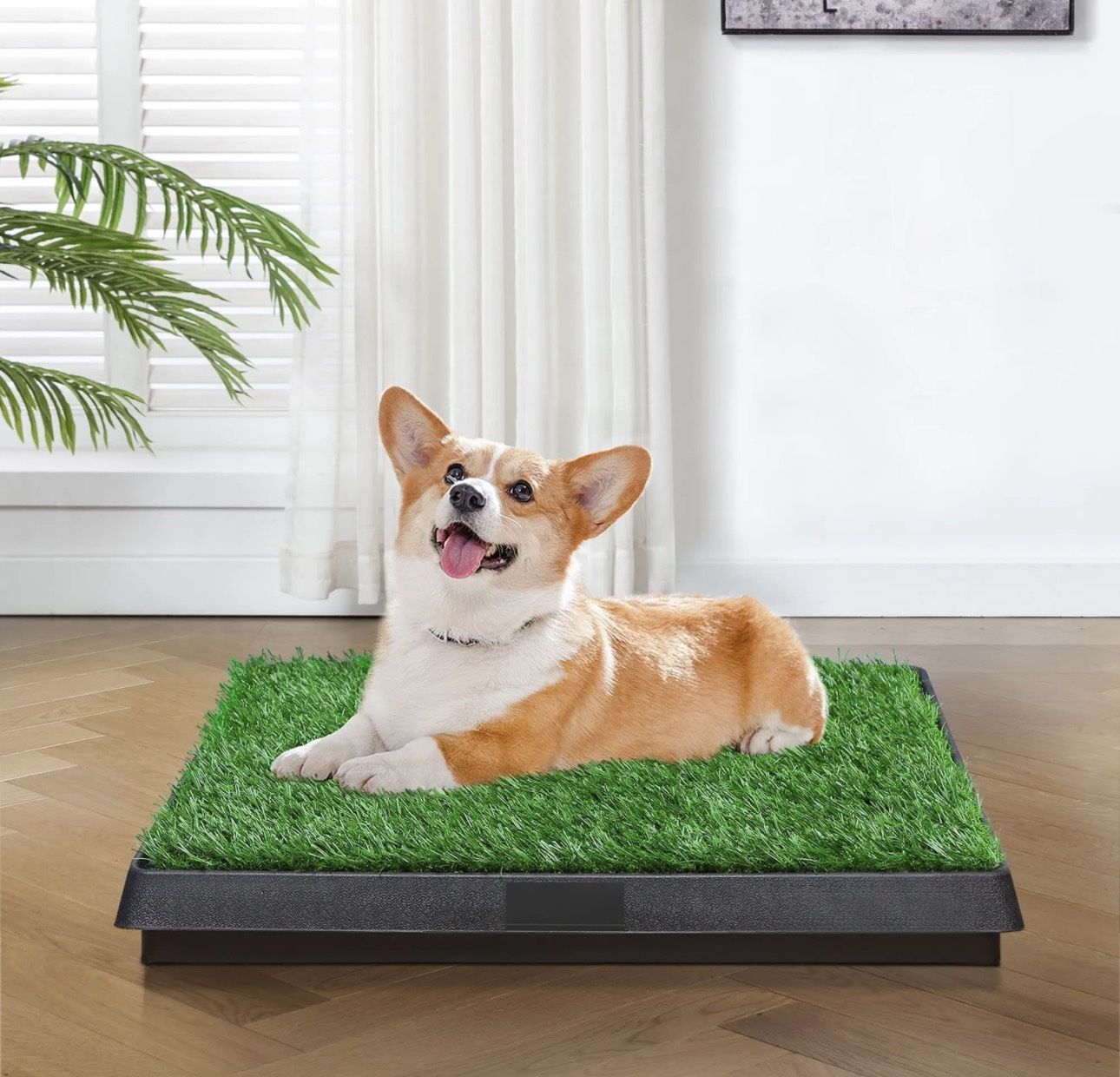 20 X25 Puppy Pee Pad With Pull Out Tray