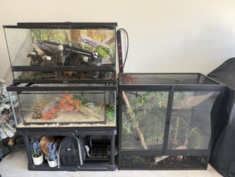 Reptile Tanks
