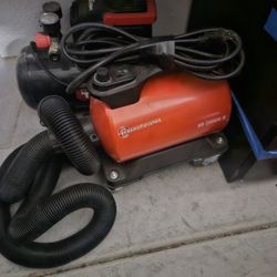 Adam.\n S air cannon junior.