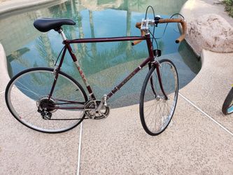 Fuji espree road bike shop