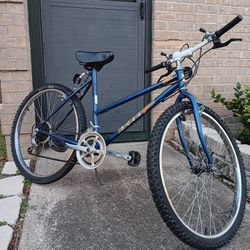 Bisicleta Para Adulto Rodada 26" 