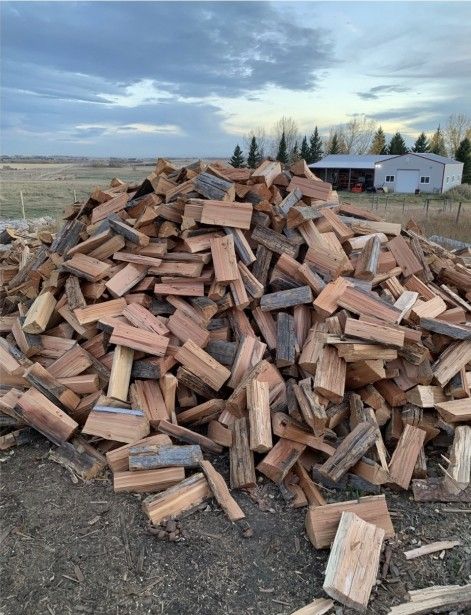 Seasoned Dry Madrona Firewood 🪵🪓