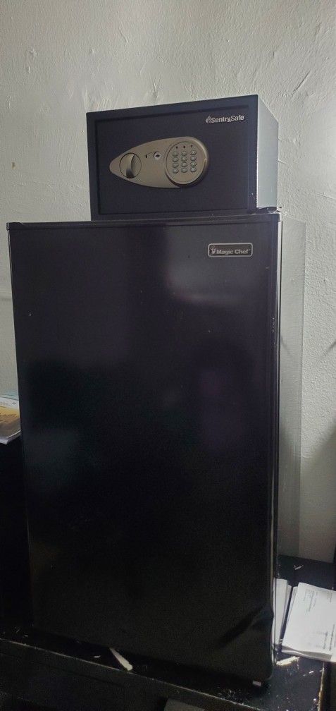 Mini Fridge