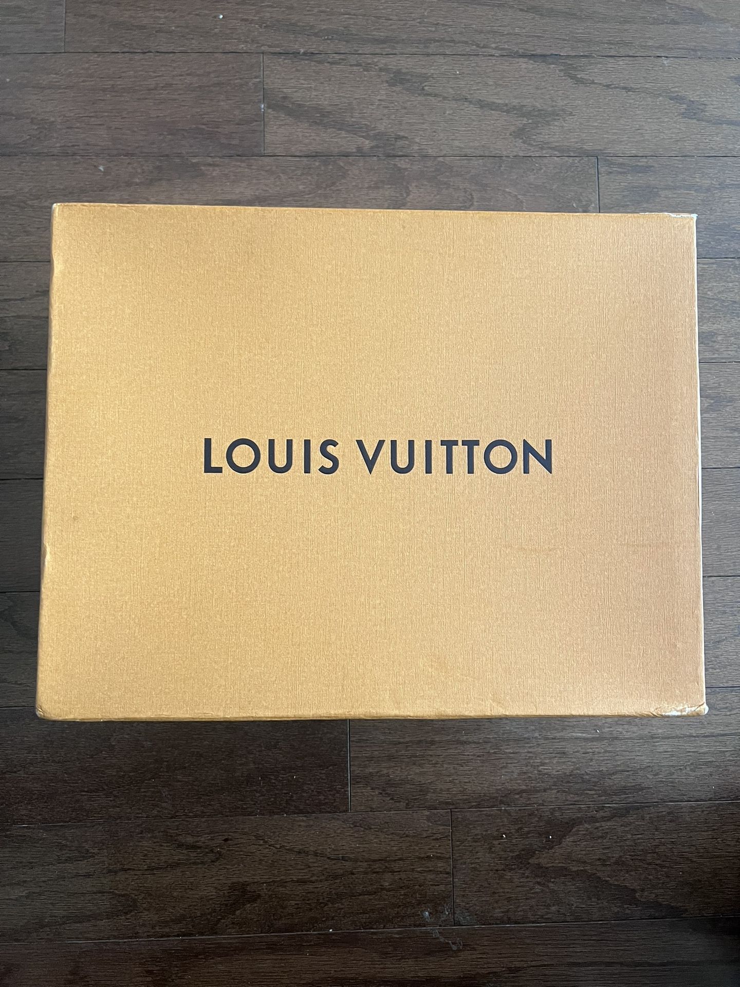 Louis Vuitton shoes