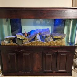 150 GALLON TANK 