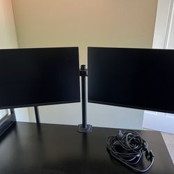 Dell 24 Monitor - P2422H - Full HD 1080p, IPS Technology