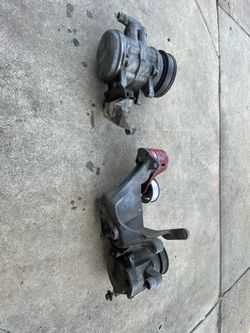 Fox body parts
