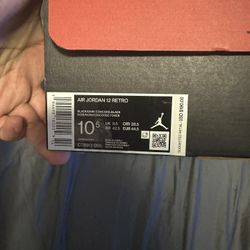 Jordan 12 Dark Concord