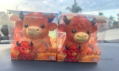 Highland Cows 🐮🤎