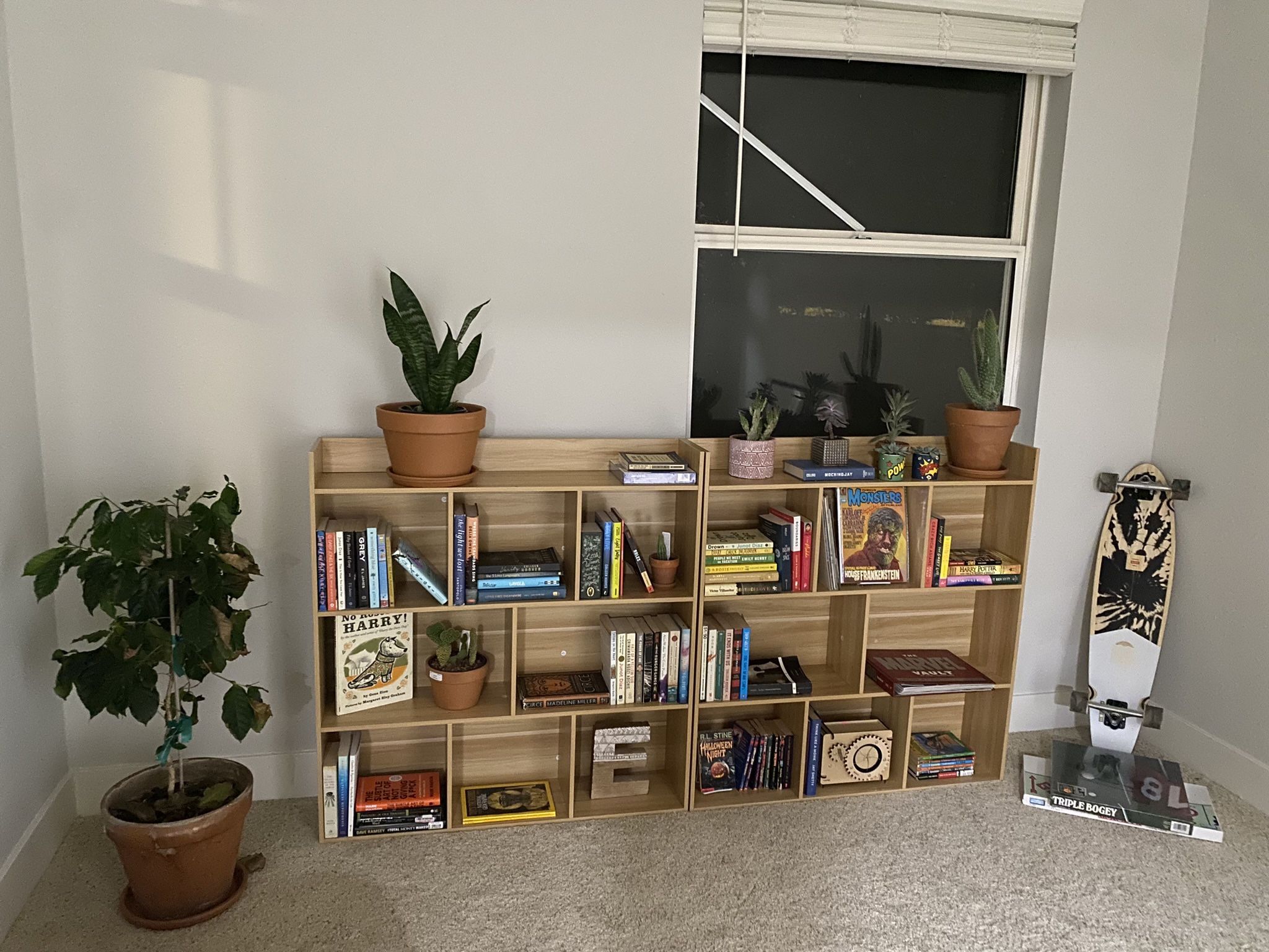 Bookshelf (1)