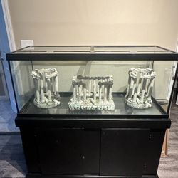 75 Gallon Tank For Sale $300
