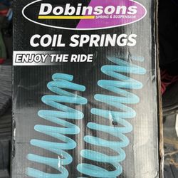 Dobinson Rear Spring (New In Box)
