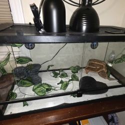 40 Gallon Reptile Cage With Doors On Front
