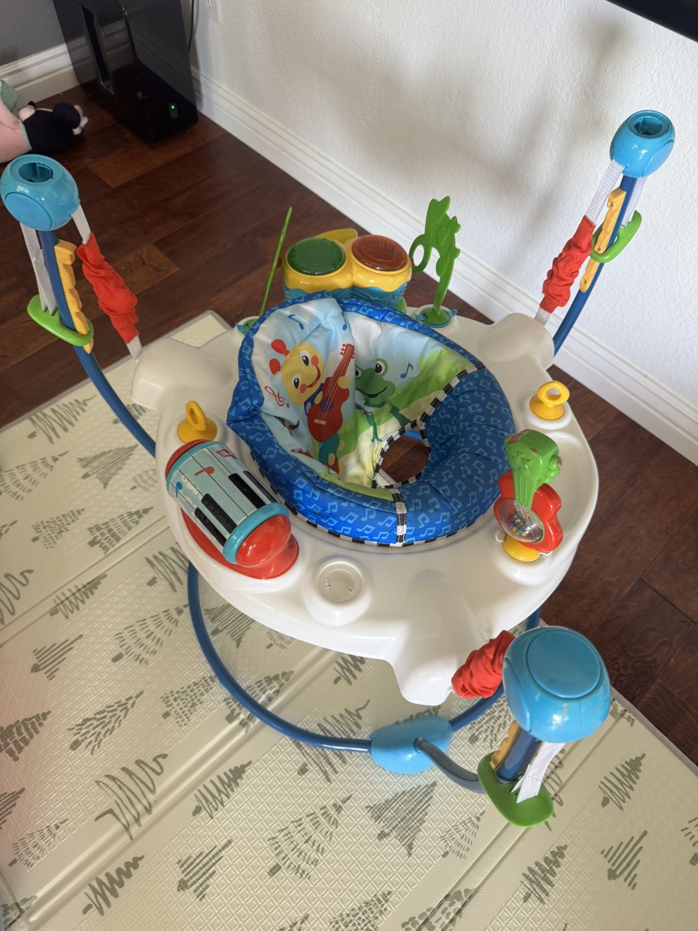 Baby Einstein Jumper