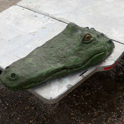 Concrete Alligator Head!