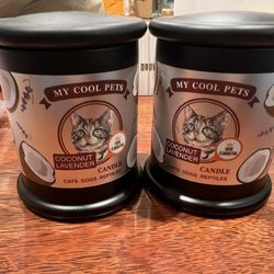 2-Pack, Cat, Dog, Reptile, Deodorant Candles, Coconut, Lavender
