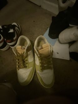 Dunks Basically Brand new
