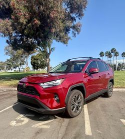 2024 Toyota Rav4 Hybrid