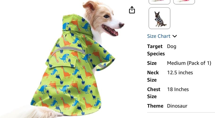 Medium Dog Rain Jacket With Dinosaurs On It