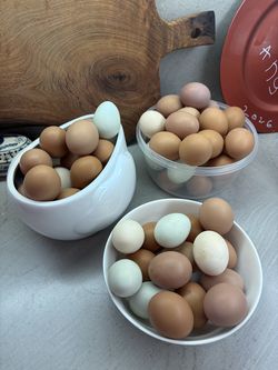 Fresh/ organic eggs