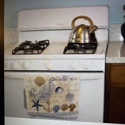 Ventage Hotpoint 30” Gas Range