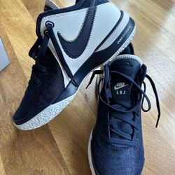 Nike Lebron NXXT Size 8.5 Basketball Shoe (New)