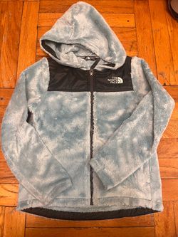 The north face fleece