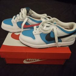 Used Preschool Dunks