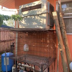 Bird Cage