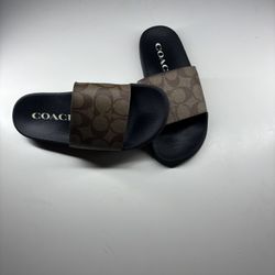 Coach Slides