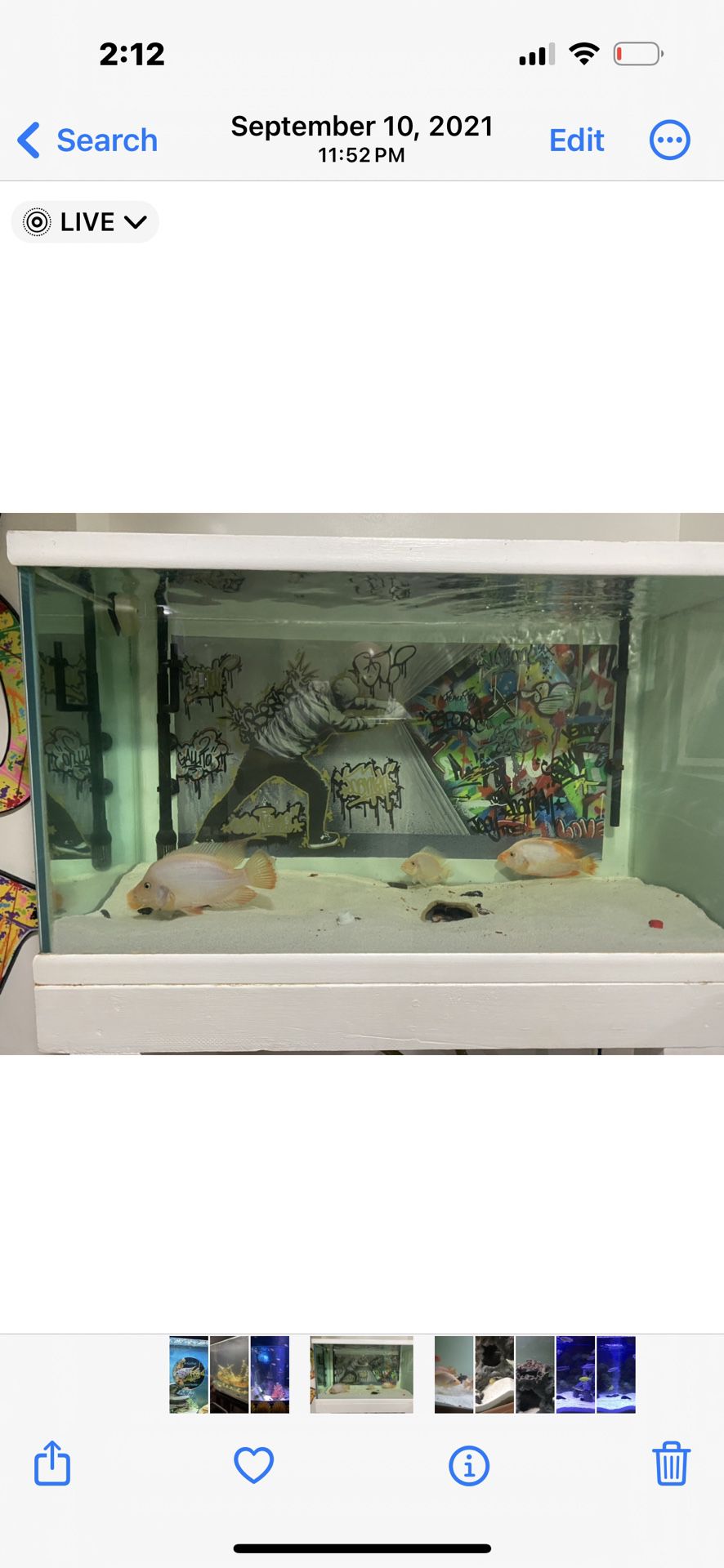 Fish Tank With Stand