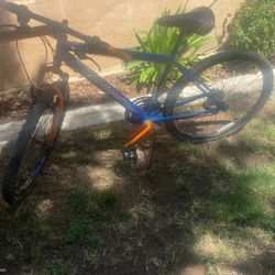 Mountain Bike