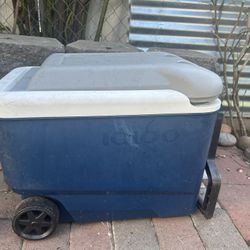 Igloo Cooler