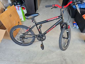 Moving Sale- Kids Bicycle 20inch, 50% off
