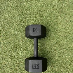 45.lbs Single Dumbbell 