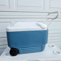 Rolling Ice Chest 