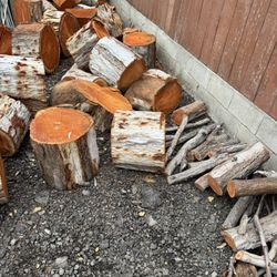 Eucalyptus Wood