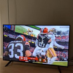 65 Inch TV LG