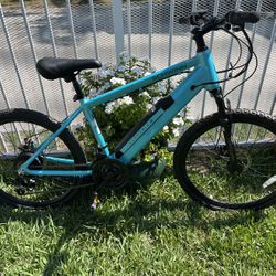 Electric Bike