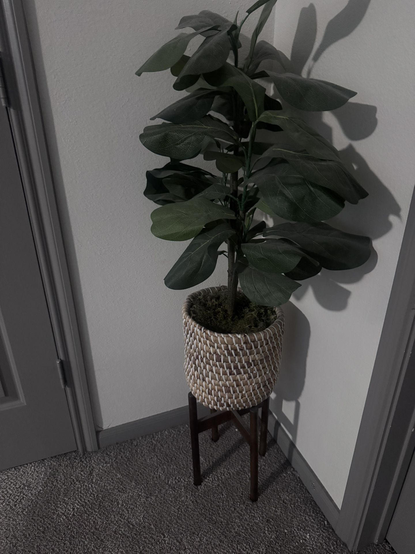 Fake Plant