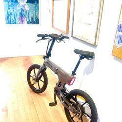 Zectron Limited Edition Hand Painted Folding Bike