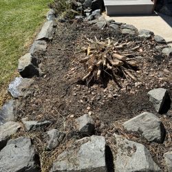 Free Rocks