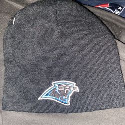 Panthers Winter Hat