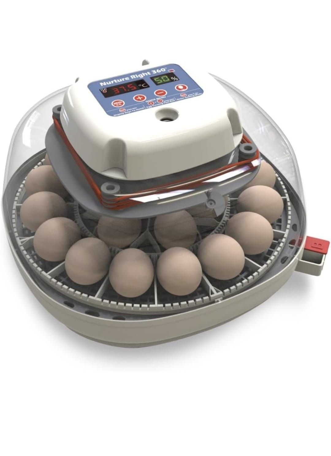 Incubator For Hatching Eggs 