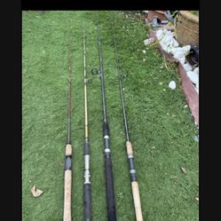 Fishing Pole 