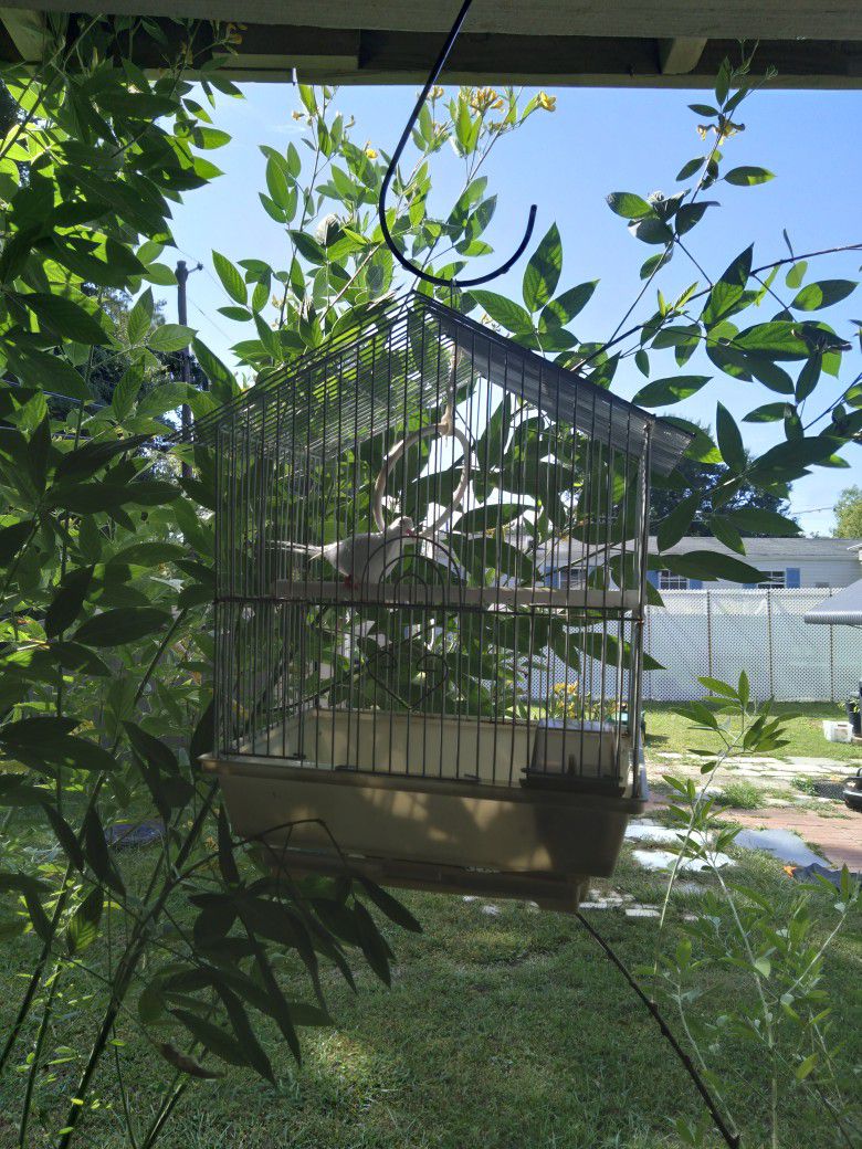 Very Nice Small Birdcage For Sale !!