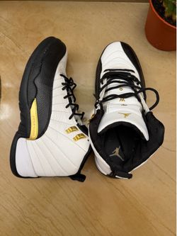 Air Jordan 12